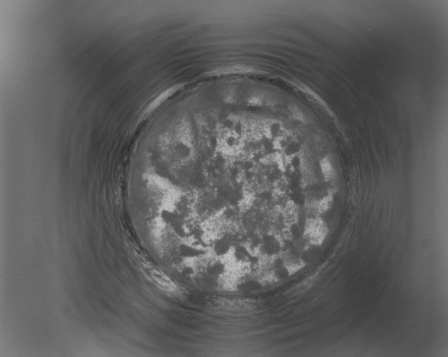 X0000080680921200701121655