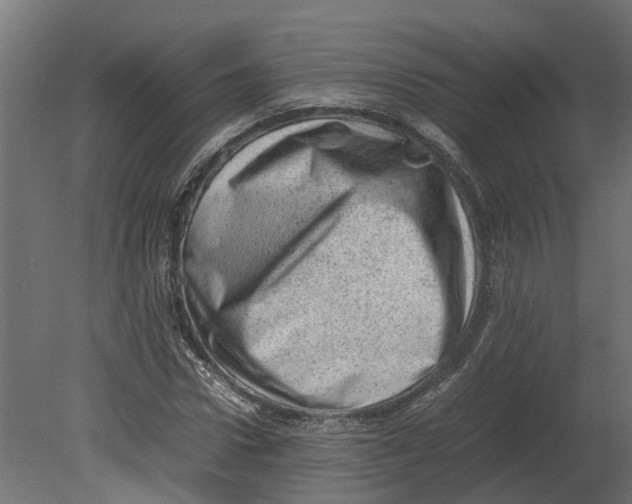 X0000080680922200701121655