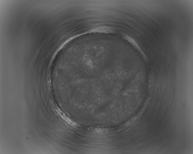 X0000080680923200701121655