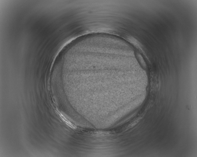 X0000080680924200701121655