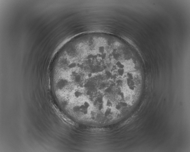 X0000080680925200701121655