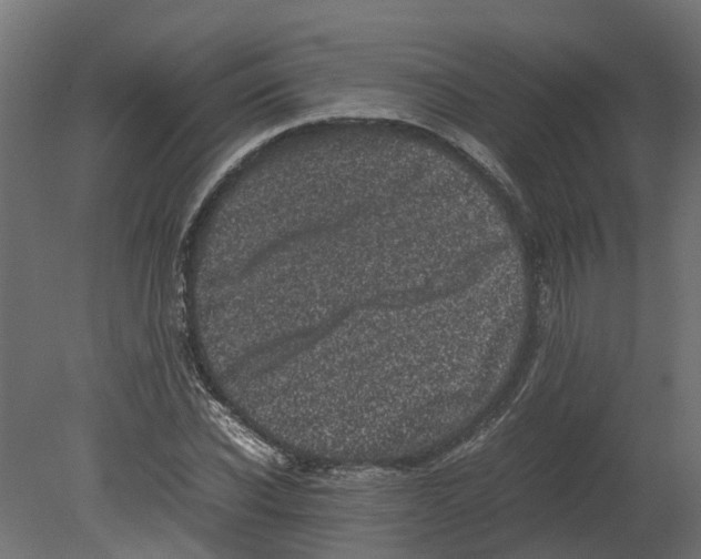 X0000080680926200701121655