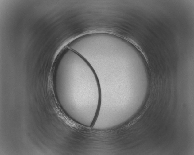 X0000080680928200701121655