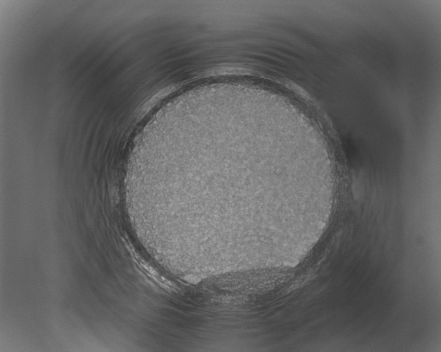 X0000080680929200701121655