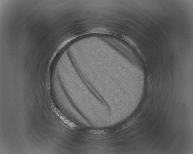 X0000080680931200701121655