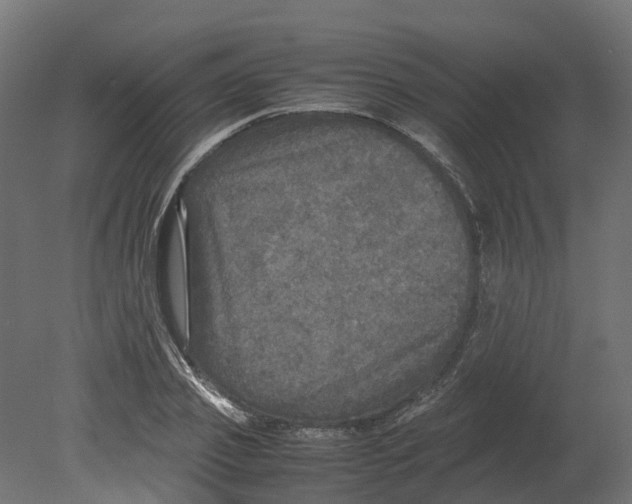 X0000080680933200701121655