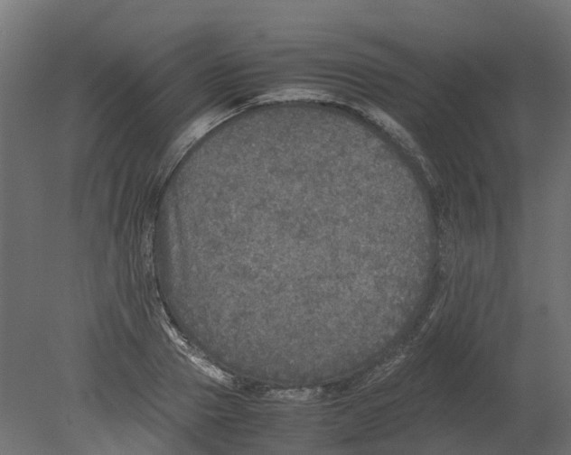 X0000080680937200701121655