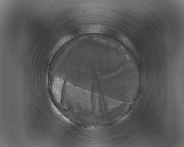 X0000080680938200701121655