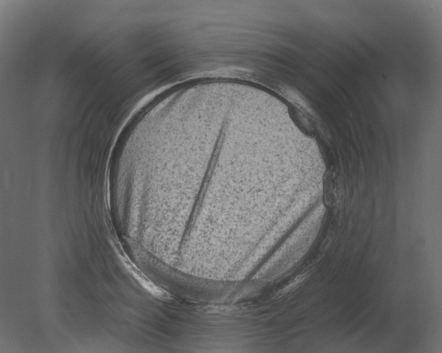 X0000080680940200701121655