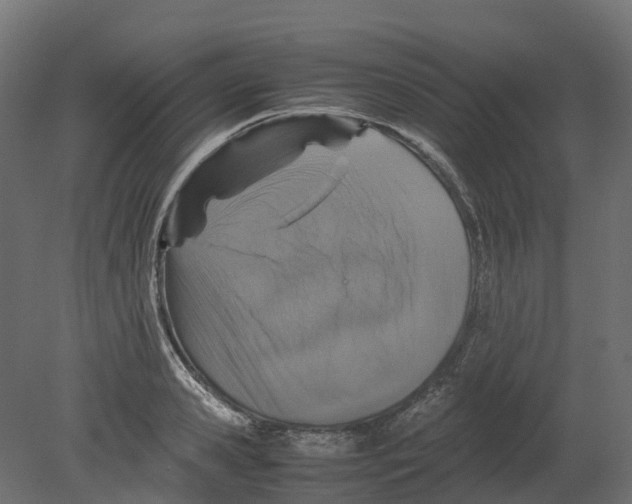 X0000080680941200701121655