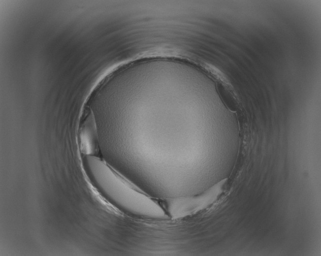 X0000080680942200701121655