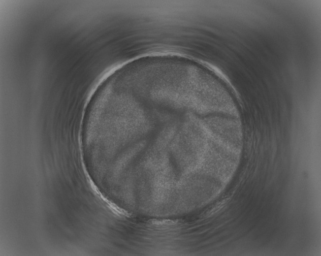 X0000080680943200701121655