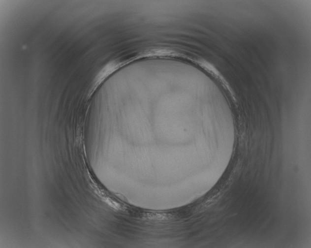 X0000080680945200701121655