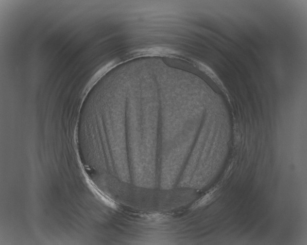 X0000080680946200701121655