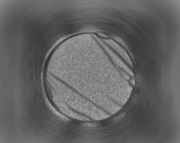 X0000080680947200701121655