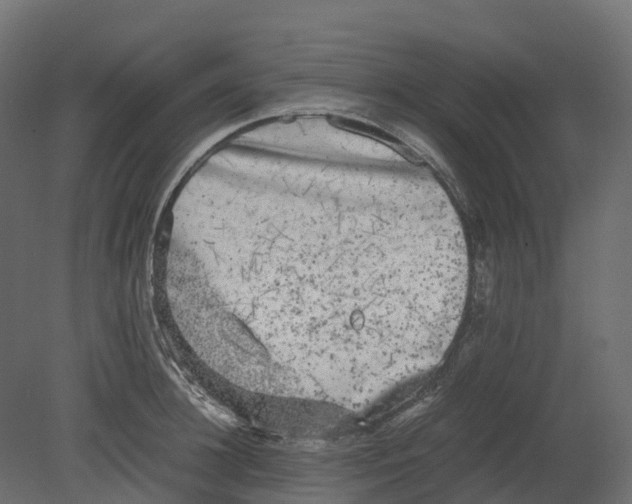 X0000080680948200701121655