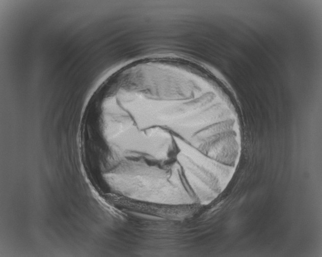 X0000080680951200701121655