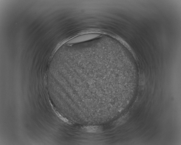 X0000080680953200701121655