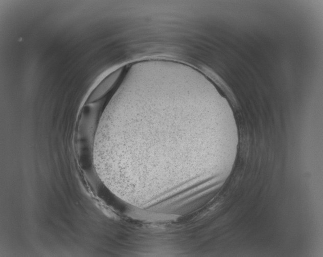 X0000080680956200701121655