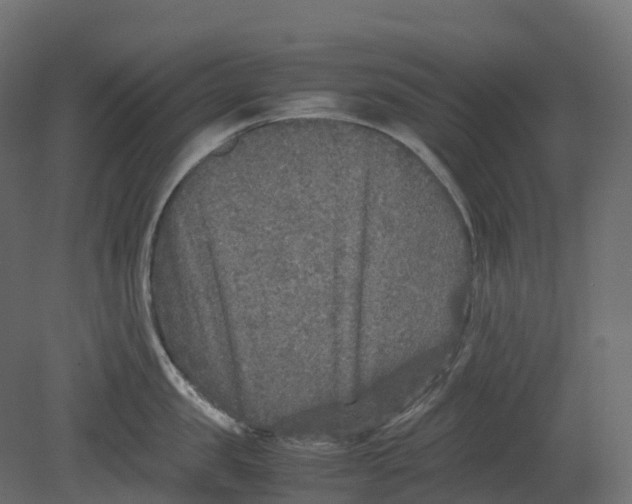 X0000080680957200701121655