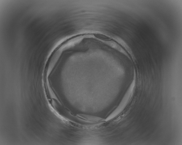 X0000080680958200701121655