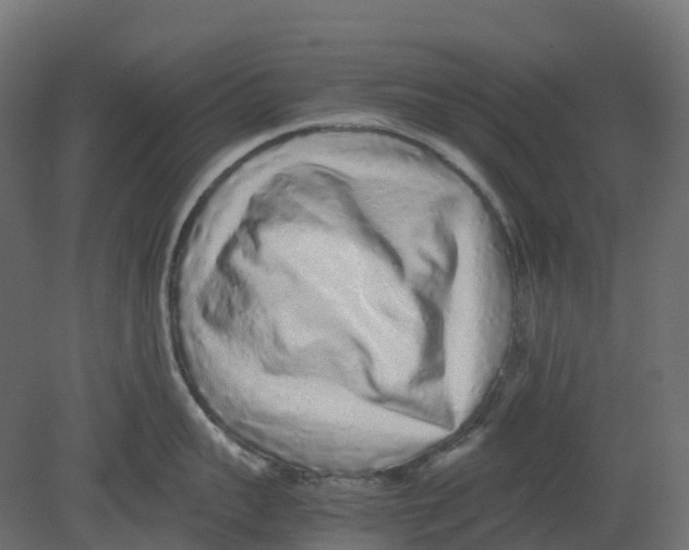 X0000080680959200701121655