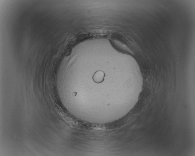 X0000080680961200701121654