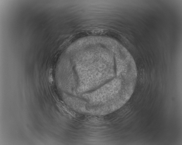 X0000080680962200701121654