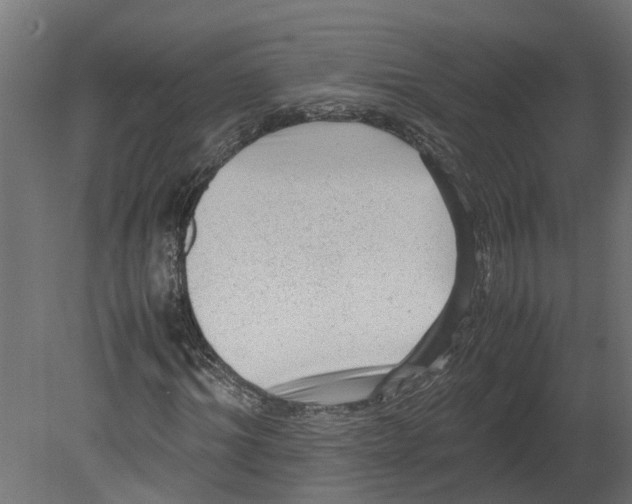 X0000080680964200701121654