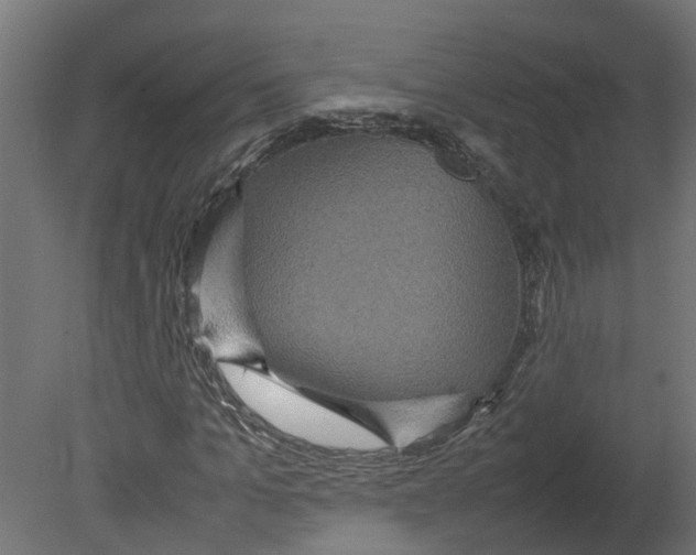 X0000080680965200701121654