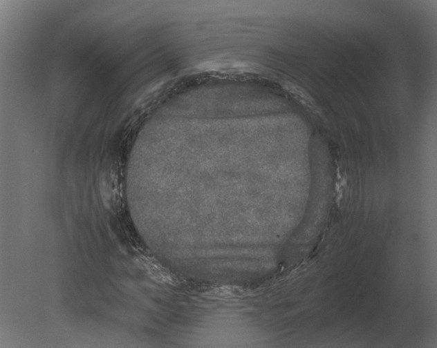 X0000080680966200701121654