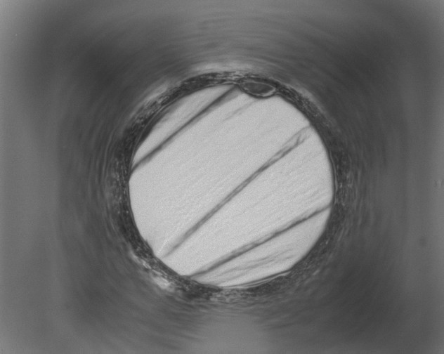 X0000080680967200701121654