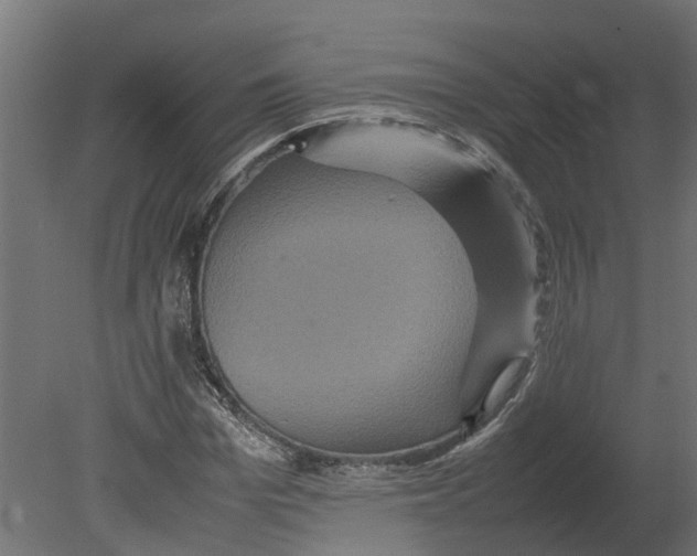 X0000080680969200701121654