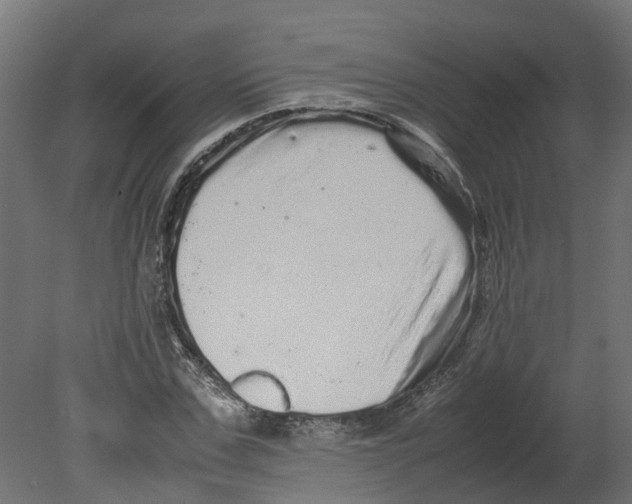 X0000080680971200701121654