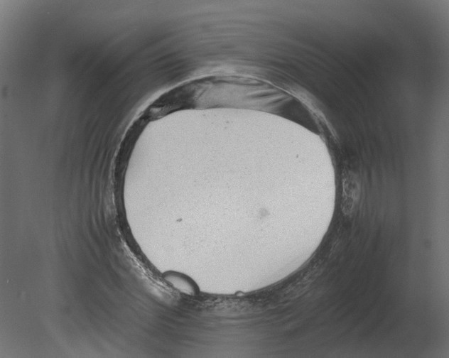 X0000080680972200701121654