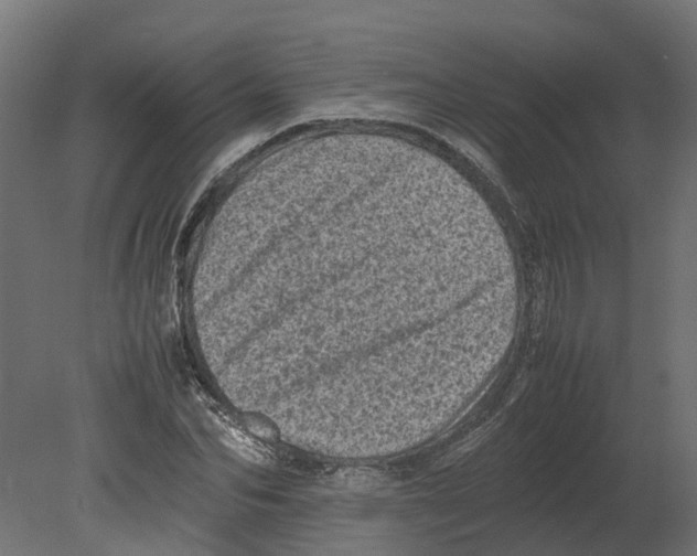 X0000080680974200701121654