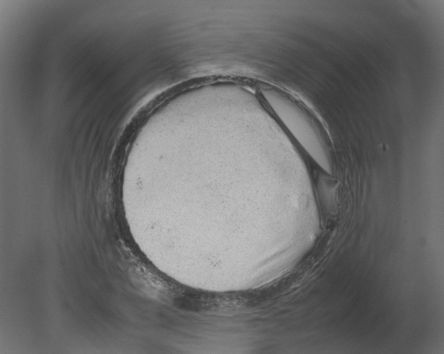 X0000080680975200701121654