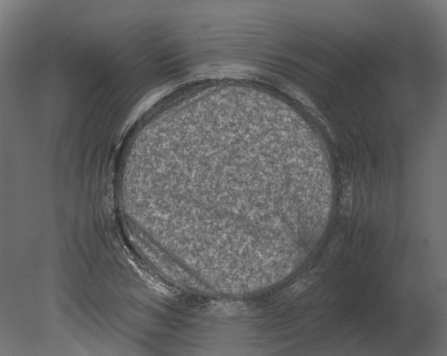 X0000080680978200701121654