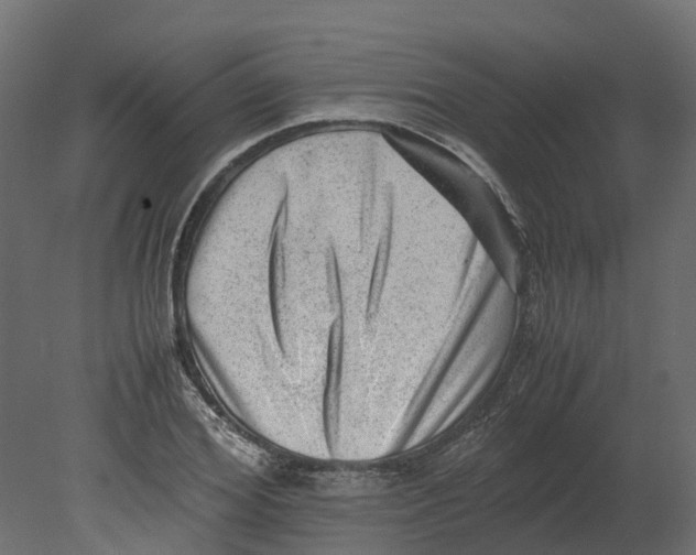 X0000080680980200701121654