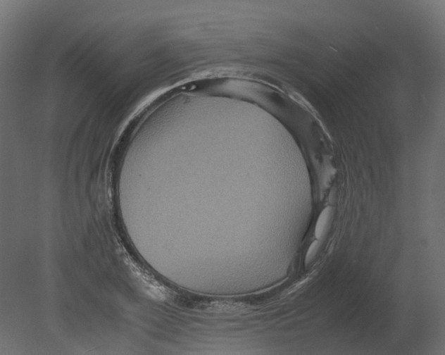 X0000080680981200701121654