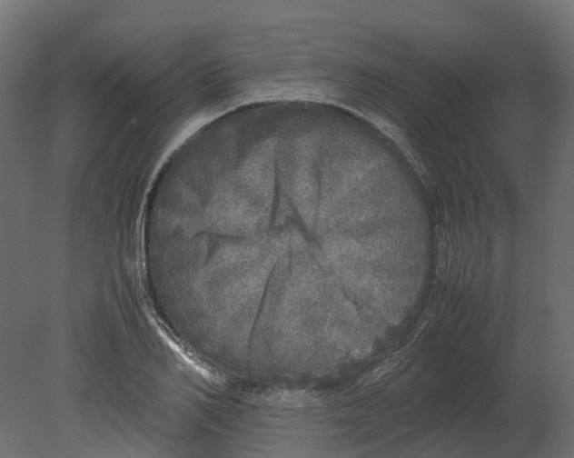 X0000080680982200701121654