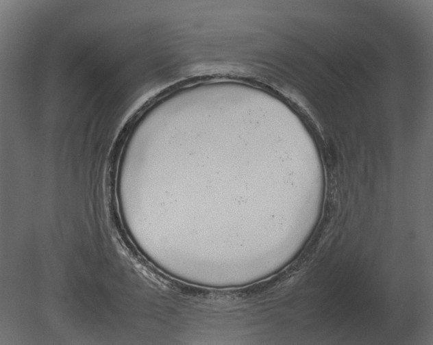 X0000080680983200701121654