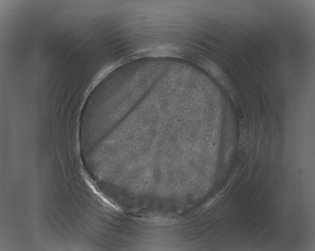 X0000080680986200701121654