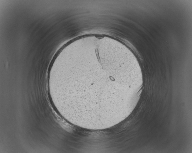 X0000080680988200701121654