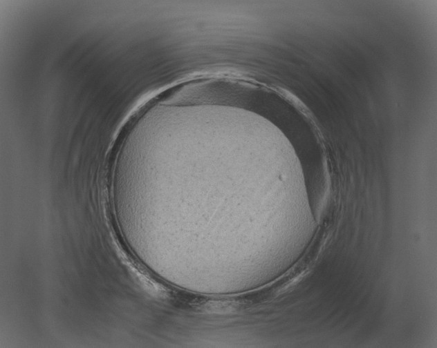 X0000080680989200701121654