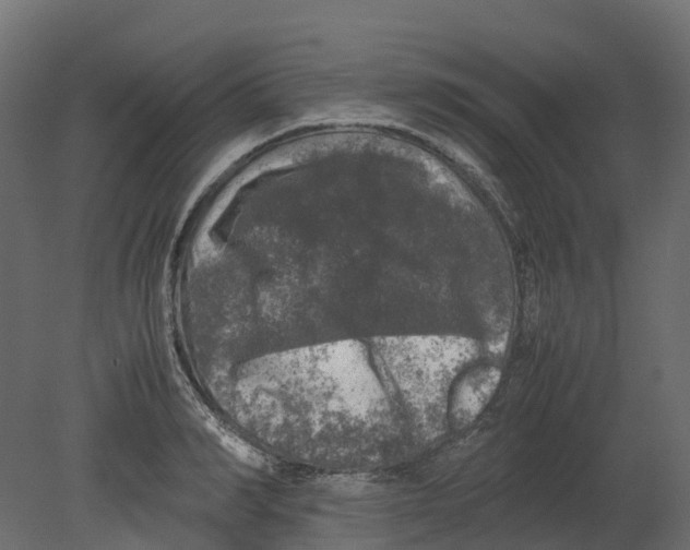 X0000080680990200701121654