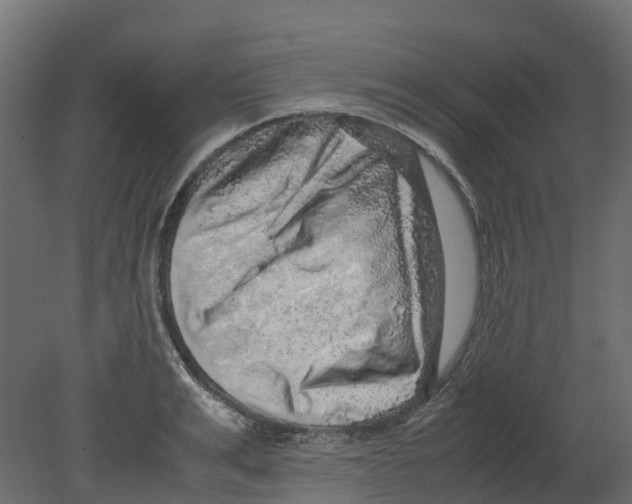 X0000080680991200701121654