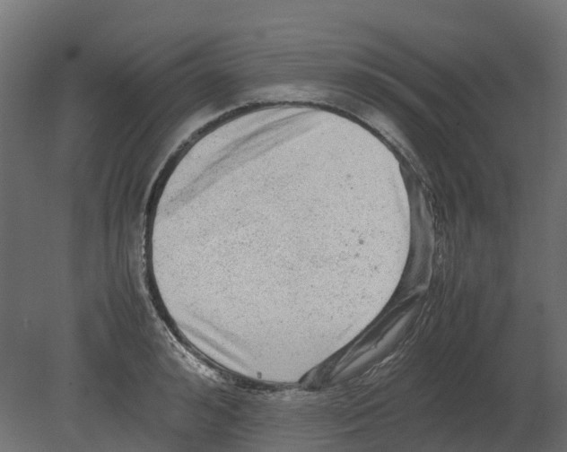 X0000080680992200701121654