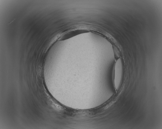 X0000080680993200701121654