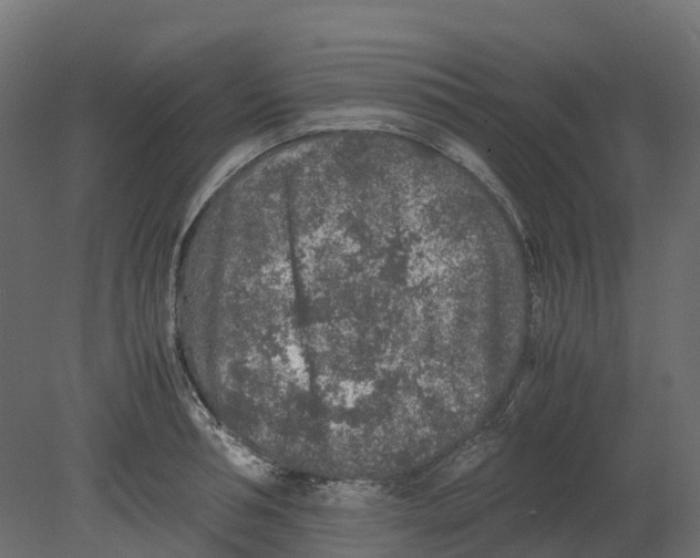 X0000080680994200701121654